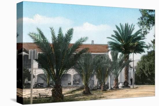 Palm Trees, Hammam Meskoutine, Algeria-null-Premier Image Canvas