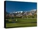 Palm Trees in a Golf Course, Desert Princess Country Club, Palm Springs, California-null-Premier Image Canvas