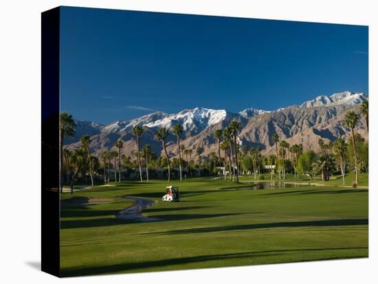 Palm Trees in a Golf Course, Desert Princess Country Club, Palm Springs, California-null-Premier Image Canvas