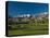 Palm Trees in a Golf Course, Desert Princess Country Club, Palm Springs, California-null-Premier Image Canvas