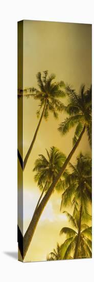 Palm Trees in French Polynesia-null-Premier Image Canvas