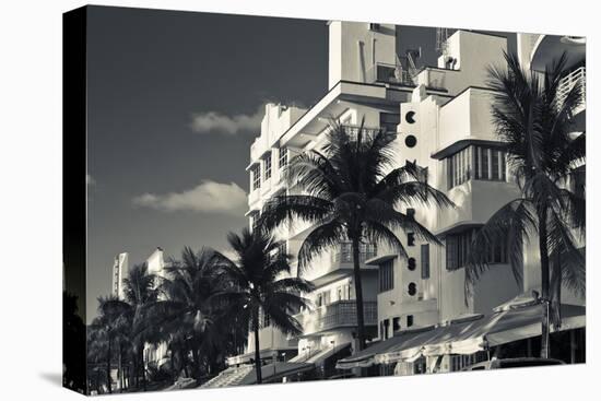 Palm trees in front of art Deco hotels, Ocean Drive, South Beach, Miami Beach, Miami-Dade County...-Panoramic Images-Premier Image Canvas