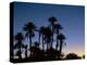 Palm Trees in Silhouette at Dawn, on Edge of Sahara Desert Near Morocco, North Africa-Lee Frost-Premier Image Canvas