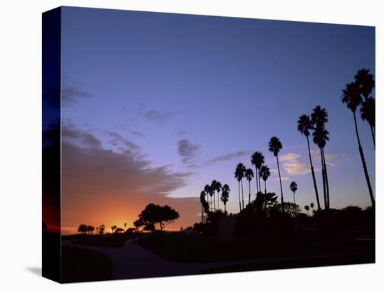 Palm Trees in Silhouette in Park on Bluff Overlooking the Pacific Ocean, Santa Barbara, California-Aaron McCoy-Premier Image Canvas