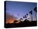 Palm Trees in Silhouette in Park on Bluff Overlooking the Pacific Ocean, Santa Barbara, California-Aaron McCoy-Premier Image Canvas
