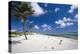 Palm Trees in the Breeze Cayman Islands-George Oze-Premier Image Canvas