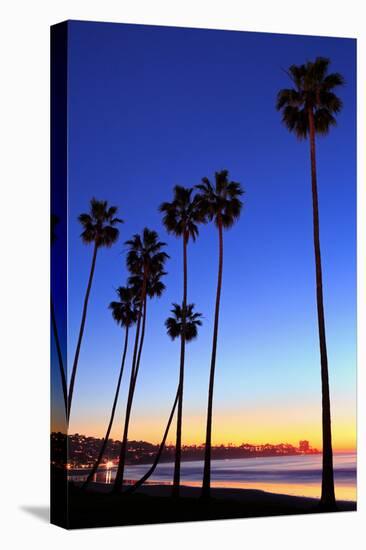 Palm trees, La Jolla Shores Beach, La Jolla, San Diego, California, United States of America, North-Richard Cummins-Premier Image Canvas