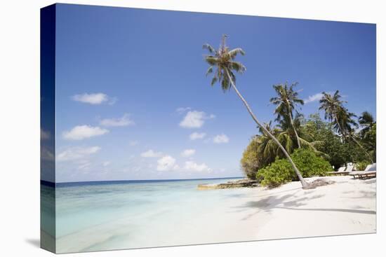 Palm trees lean over white sand, under a blue sky, on Bandos Island in The Maldives, Indian Ocean,-Stuart Forster-Premier Image Canvas