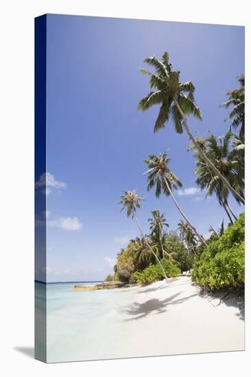 Palm trees lean over white sand, under a blue sky, on Bandos Island in The Maldives, Indian Ocean,-Stuart Forster-Premier Image Canvas