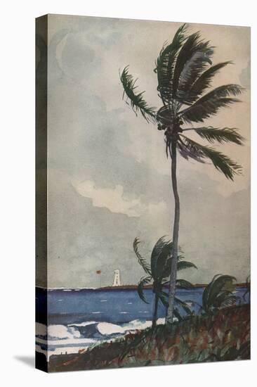 'Palm Trees, Nassau', 1898, (1932)-Winslow Homer-Premier Image Canvas