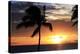 Palm Trees on a Beach At Sunset-Michael Szoenyi-Premier Image Canvas