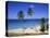 Palm Trees on Beach, Antigua, Caribbean, West Indies, Central America-Firecrest Pictures-Premier Image Canvas