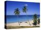 Palm Trees on Beach, Antigua, Caribbean, West Indies, Central America-Firecrest Pictures-Premier Image Canvas