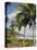 Palm Trees on Beach at Punta Islita, Nicoya Pennisula, Pacific Coast, Costa Rica, Central America-R H Productions-Premier Image Canvas
