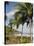 Palm Trees on Beach at Punta Islita, Nicoya Pennisula, Pacific Coast, Costa Rica, Central America-R H Productions-Premier Image Canvas