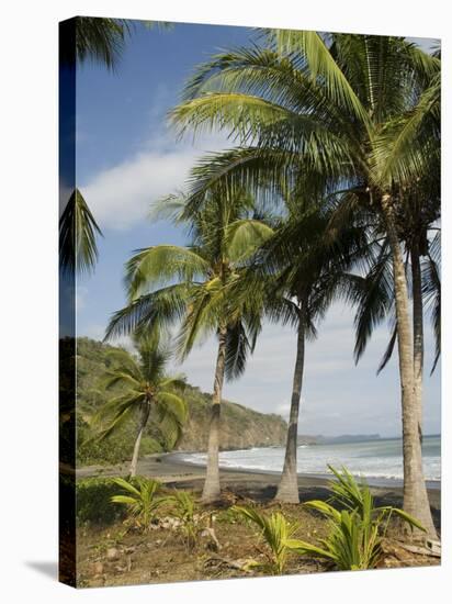 Palm Trees on Beach at Punta Islita, Nicoya Pennisula, Pacific Coast, Costa Rica, Central America-R H Productions-Premier Image Canvas