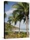 Palm Trees on Beach at Punta Islita, Nicoya Pennisula, Pacific Coast, Costa Rica, Central America-R H Productions-Premier Image Canvas