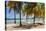 Palm trees on beach, Britannia Bay, Mustique, Saint Vincent And The Grenadines-null-Premier Image Canvas