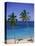 Palm Trees on Deserted Beach, Antigua, Caribbean, West Indies, Central America-Firecrest Pictures-Premier Image Canvas