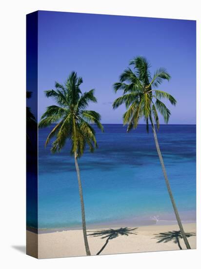 Palm Trees on Deserted Beach, Antigua, Caribbean, West Indies, Central America-Firecrest Pictures-Premier Image Canvas