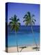 Palm Trees on Deserted Beach, Antigua, Caribbean, West Indies, Central America-Firecrest Pictures-Premier Image Canvas