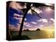 Palm Trees on the Beach at Sunset, Lanikai, U.S.A.-Ann Cecil-Premier Image Canvas