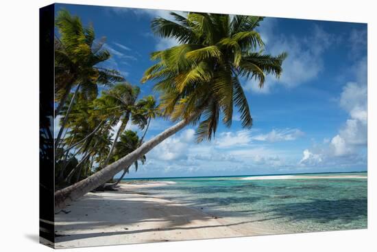 Palm Trees on the Beach, Bora Bora, Society Islands, French Polynesia-null-Premier Image Canvas