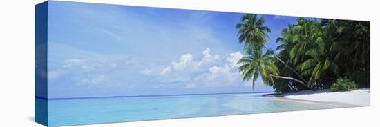 Palm Trees on the Beach, Fihalhohi Island, Maldives-null-Premier Image Canvas