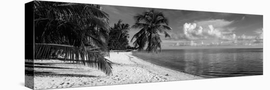 Palm Trees on the Beach, Matira Beach, Bora Bora, French Polynesia-null-Stretched Canvas