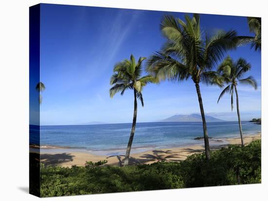 Palm Trees on the Beach, Maui, Hawaii, USA-null-Premier Image Canvas
