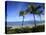 Palm Trees on the Beach, Maui, Hawaii, USA-null-Premier Image Canvas