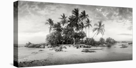 Palm Trees on the Beach, Morro De Sao Paulo, Tinhare, Cairu, Bahia, Brazil-null-Premier Image Canvas