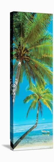 Palm trees on the beach, Viti Levu, Palm Cove, Fiji-null-Premier Image Canvas