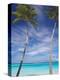 Palm Trees on Tropical Beach, Maldives, Indian Ocean, Asia-Sakis Papadopoulos-Premier Image Canvas