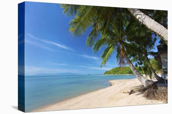 Palm Trees Overhanging Bangrak Beach, Koh Samui, Thailand, Southeast Asia, Asia-Lee Frost-Premier Image Canvas