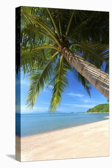 Palm Trees Overhanging Bangrak Beach, Koh Samui, Thailand, Southeast Asia, Asia-Lee Frost-Premier Image Canvas