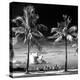 Palm Trees overlooking Downtown Miami - Florida-Philippe Hugonnard-Premier Image Canvas