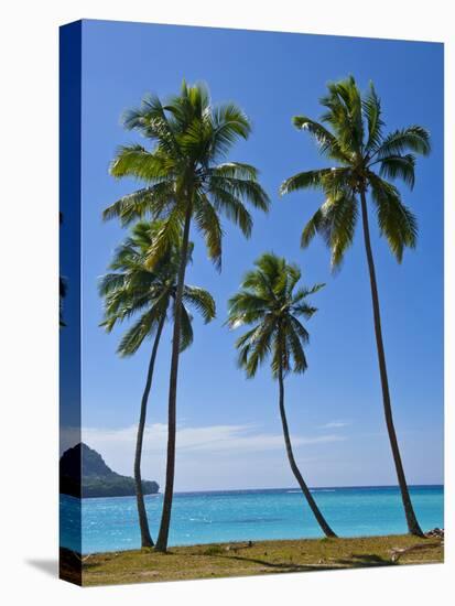 Palm Trees, Port Orly, Island of Espiritu Santo, Vanuatu, South Pacific, Pacific-Michael Runkel-Premier Image Canvas