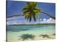 Palm Trees, Shangri-La Fijian Resort, Yanuca Island, Coral Coast, Viti Levu, Fiji, South Pacific-David Wall-Premier Image Canvas