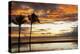 Palm trees silhouetted against red clouds during sunset over a beach at Flic en Flac-Stuart Forster-Premier Image Canvas