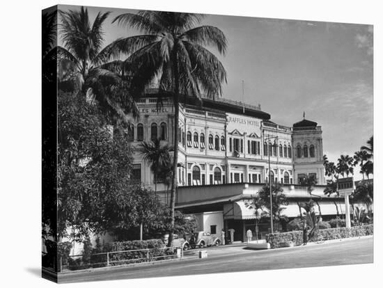 Palm Trees Surrounding the Raffles Hotel-Carl Mydans-Premier Image Canvas