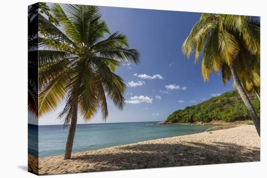 Palm Trees Thrive on the Beautiful Beach of Hawksbill, Antigua, Leeward Islands, West Indies-Roberto Moiola-Premier Image Canvas