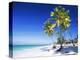 Palm Trees, White Sandy Beach and Indian Ocean, Jambiani, Island of Zanzibar, Tanzania, East Africa-Lee Frost-Premier Image Canvas