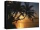 Palmenstrand, Sonnenuntergang, Meer, Ufer, Palmen, Abendsonne, Urlaub-Thonig-Premier Image Canvas