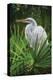 Palmetto Egret-Steve Hunziker-Stretched Canvas