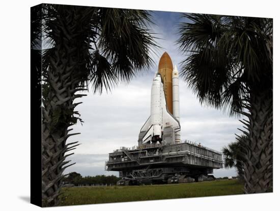 Palmetto Trees Frame Space Shuttle Endeavour as it Rolls Toward the Launch Pad-Stocktrek Images-Premier Image Canvas