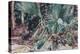 Palmettos, 1917-John Singer Sargent-Premier Image Canvas