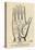 Palmistry: Palm Diagram-null-Stretched Canvas