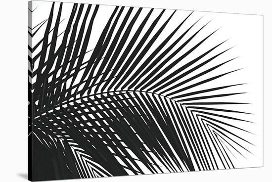 Palms 10-Jamie Kingham-Stretched Canvas