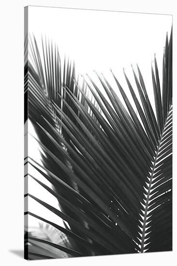 Palms 12-Jamie Kingham-Stretched Canvas